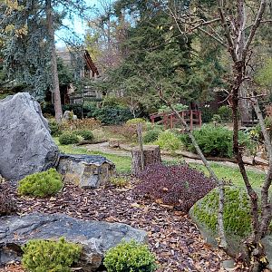 Japanese garden