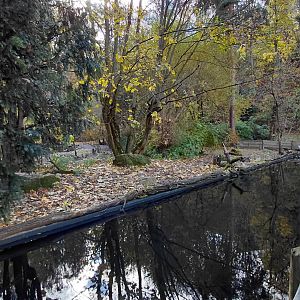 Upland goose exhibit
