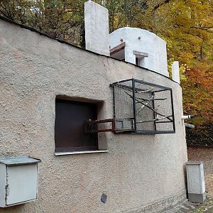 Callitrichid outdoor exhibit