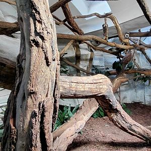 Sloth + tamarin indoor exhibit