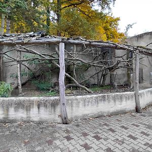 Emperor tamarin outdoor exhibit