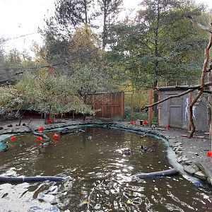 Paraná delta walkthrough aviary