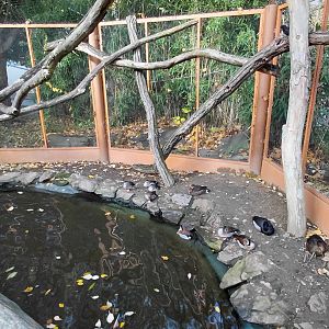 Paraná delta walkthrough aviary