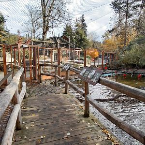 Paraná delta walkthrough aviary
