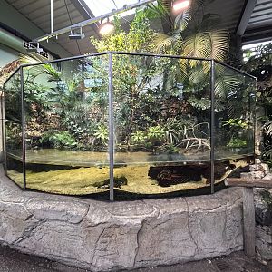 Mangrove Exhibit - Jungle House