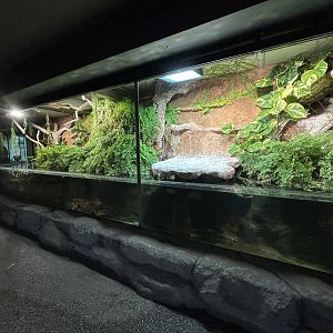 Freshwater Aquarium - Jungle House
