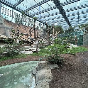 Indoor Chimpanzee Exhibit - Jungle House