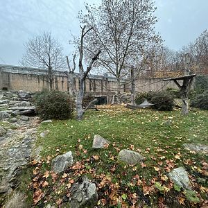 Gorilla Exhibit - Jungle House