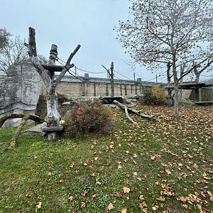 Chimpanzee Exhibit - Jungle House