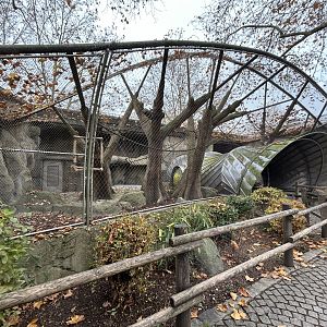 Mustached Guenon Exhibit