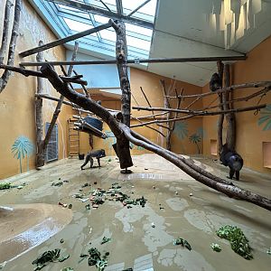 Indoor Drill Exhibit