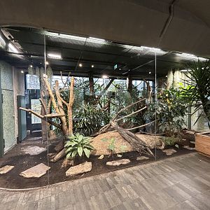 Pied Tamarin & Three-banded Armadillo Exhibit