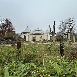 Asian Elephant Exhibit #1