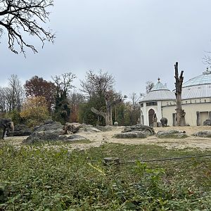 Asian Elephant Exhibit #2