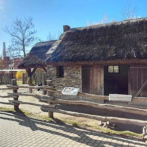 Shetland pony exhibit