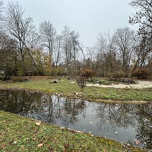 Agile Wallaby Exhibit