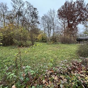 Red Kangaroo Exhibit