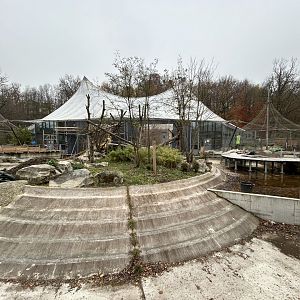 Construction of Asian Tropical Pavilion