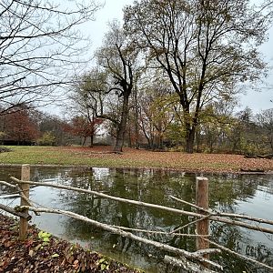 Mhorr Gazelle Exhibit