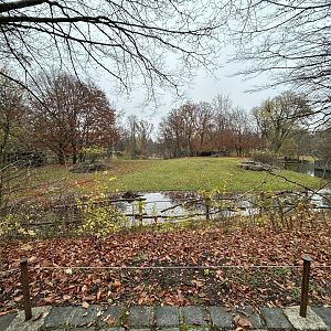 Mhorr Gazelle Exhibit