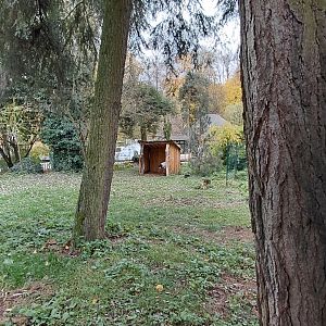 Red-crowned crane exhibit