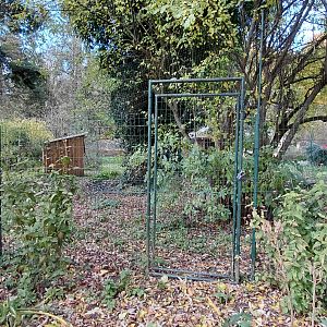 Red-crowned crane exhibit
