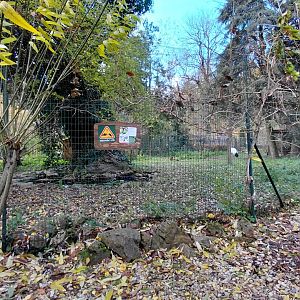 Red-crowned crane exhibit