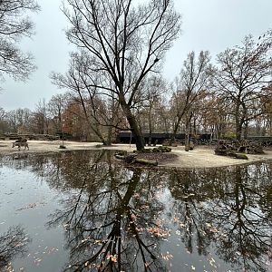 Zebra & Greater Kudu Exhibit