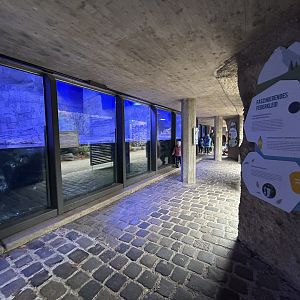 Antarctic Penguin Exhibit