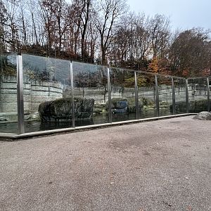 Polar Bear Exhibit #1