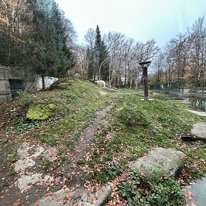 Polar Bear Exhibit #2