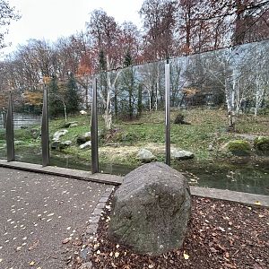 Polar Bear Exhibit #2