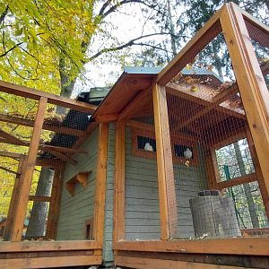 Pigeon + hen aviaries