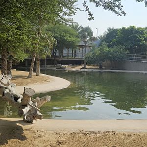 Dubai crocodilepark