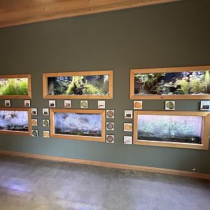 Various Terrariums & Aquariums