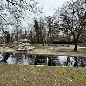Mishmi Takin Exhibit