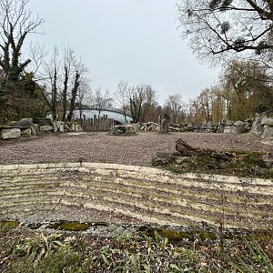 Indian Rhino Exhibit #2