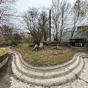 Giant Anteater Exhibit