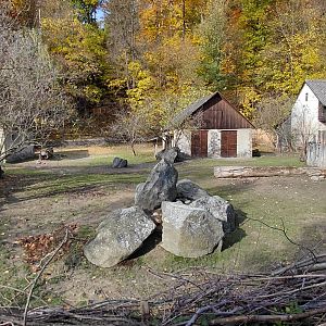 Guanaco + greater rhea exhibit