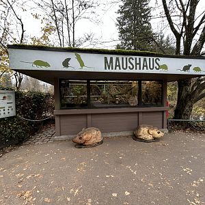 Mouse House (3 species)