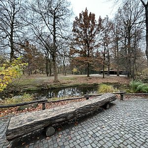 Persian Fallow Deer Exhibit