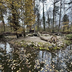 Indian Crested Porcupine Exhibit