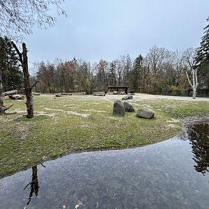 Domestic Horse & Cattle Exhibit
