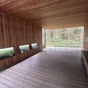 Eurasian Wolf Exhibit