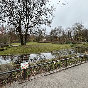 South American Pampas Exhibit (4 species)