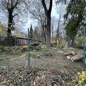 Reeve’s Muntjac & White Stork Exhibit