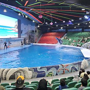 Dubai dolphinarium