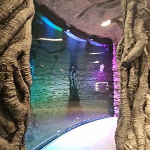 The green planet Dubai