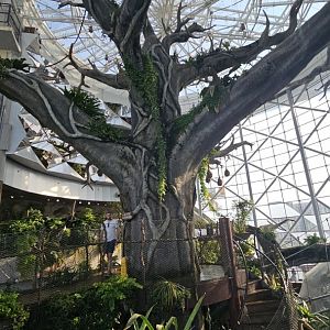 The green planet Dubai