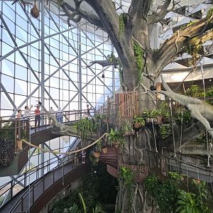 The green planet Dubai